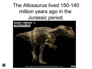The Allosaurus lived 150-140
  million years ago in the
       Jurassic period.




     http://images.wikia.com/walkingwith/images/3/39/Allosaurus_1.jpg
 