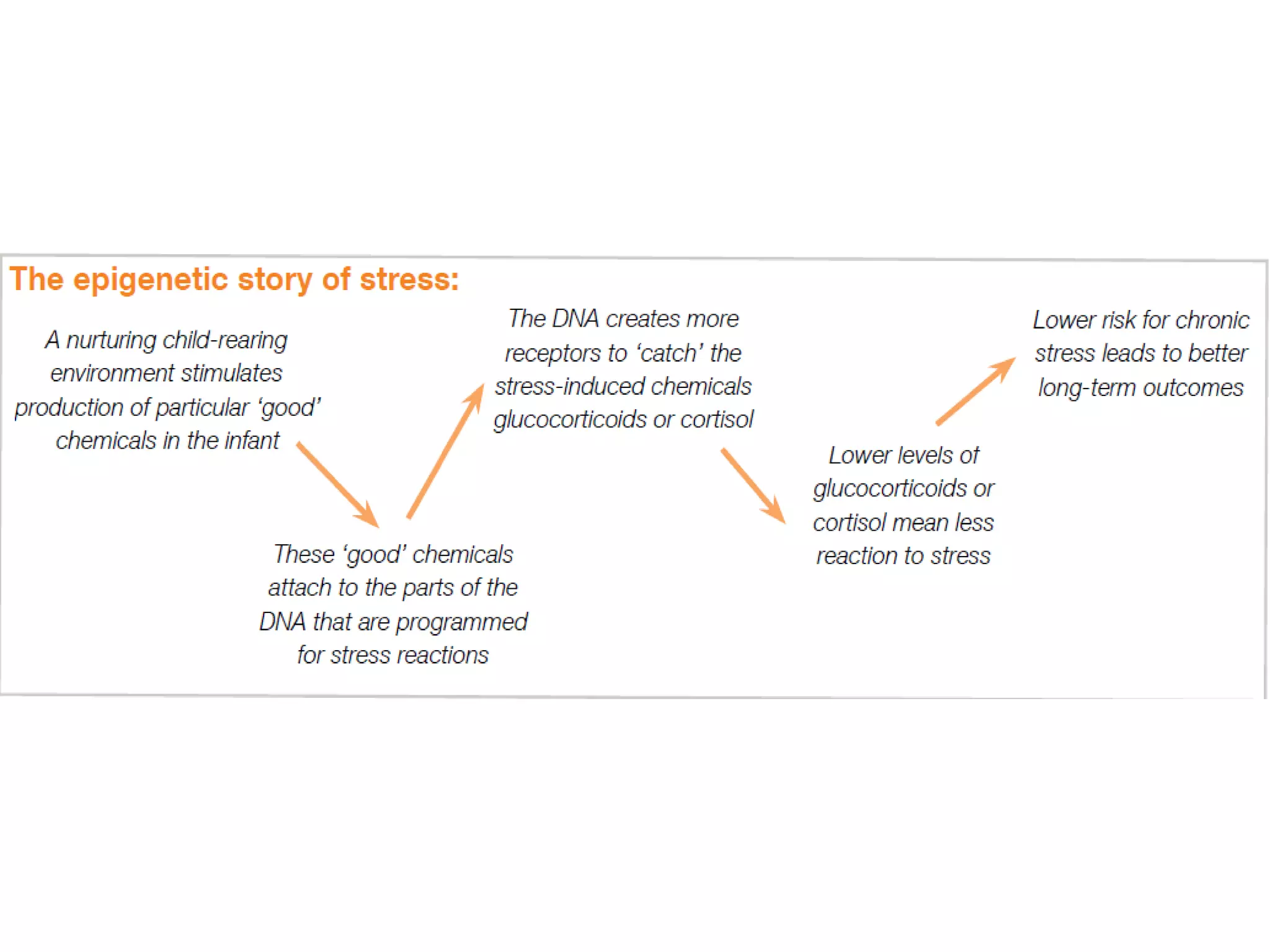 Allostatic load study design