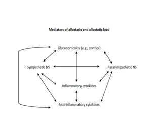 Allostatic load study design | PPTX