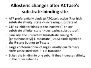 Allosteric inhibition | PPT