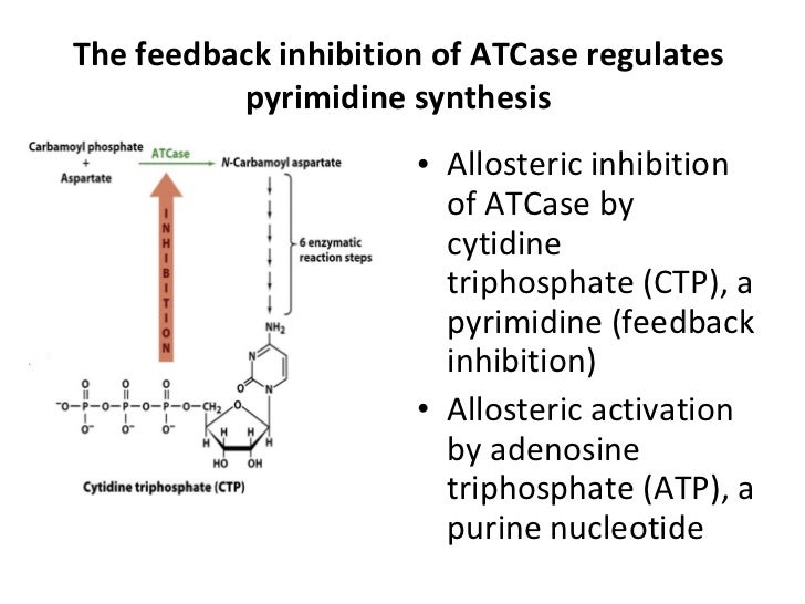 allosteric inhibition