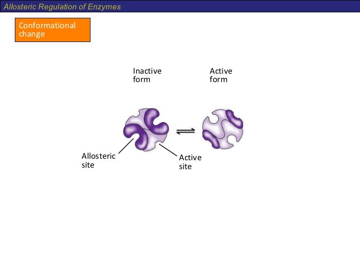 allosteric inhibition