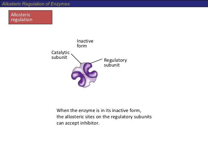 allosteric inhibition