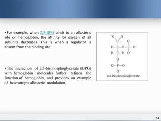 14
• For example, when 2,3-BPG binds to an allosteric
site on hemoglobin, the affinity for oxygen of all
subunits decreases. This is when a regulator is
absent from the binding site.
• The interaction of 2,3-bisphosphoglycerate (BPG)
with hemoglobin molecules further refines the
function of hemoglobin, and provides an example
of heterotropic allosteric modulation.
 
