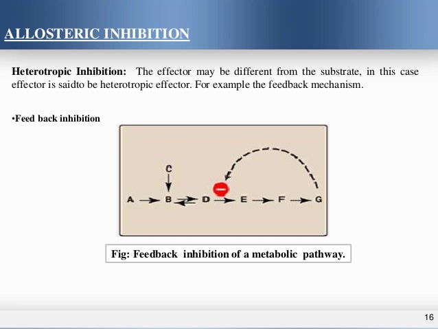 allosteric inhibition