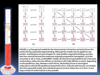 Allosteric enzymes | PPTX