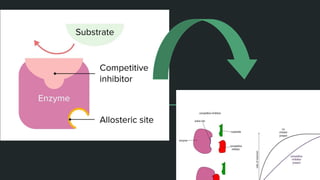 ALLOSTERIC INHIBITION : ITS CHARACTERISTICS, STRUCTURE AND MECHANISMS ...