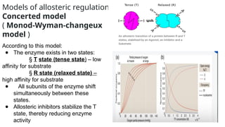 ALLOSTERIC INHIBITION : ITS CHARACTERISTICS, STRUCTURE AND MECHANISMS ...