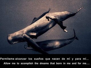 Allow me to acomplish the dreams that born in me and for me….
Permíteme alcanzar los sueños que nacen de mí y para mí…
 
