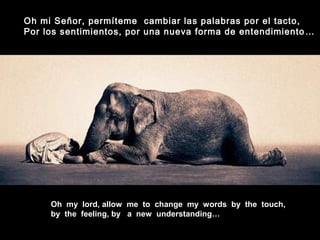 Oh my lord, allow me to change my words by the touch,
by the feeling, by a new understanding…
Oh mi Señor, permíteme cambiar las palabras por el tacto,
Por los sentimientos, por una nueva forma de entendimiento…
 