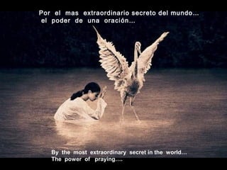 By the most extraordinary secret in the world…
The power of praying….
Por el mas extraordinario secreto del mundo…
el poder de una oración…
 