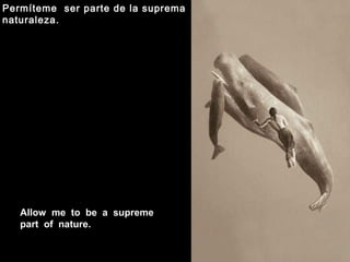 Allow me to be a supreme
part of nature.
Permíteme ser parte de la suprema
naturaleza.
 