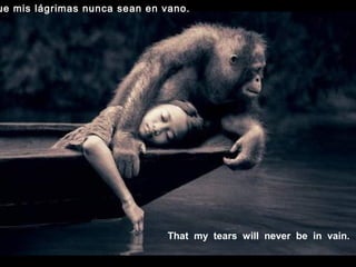 That my tears will never be in vain.
ue mis lágrimas nunca sean en vano.
 