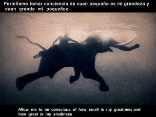 Allow me to be conscious of how small is my greatness and
how great is my smallness
Permíteme tomar conciencia de cuan pequeña es mi grandeza y
cuan grande mi pequeñez
 