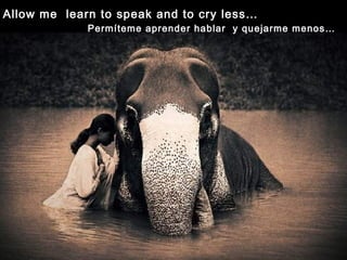 Allow me learn to speak and to cry less…
Permíteme aprender hablar y quejarme menos…
 
