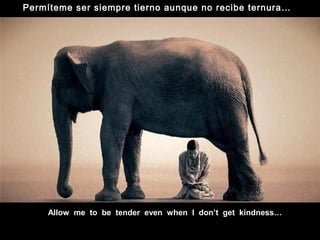 Allow me to be tender even when I don’t get kindness…
Permíteme ser siempre tierno aunque no recibe ternura…
 