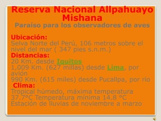 Reserva Nacional Allpahuayo MishanaParaíso para los observadores de aves Ubicación:Selva Norte del Perú, 106 metros sobre el nivel del mar ( 347 pies s.n.m.) Distancias: 20 Km. desde Iquitos1,009 Km. (627 millas) desde Lima, por avión990 Km. (615 miles) desde Pucallpa, por río Clima:Tropical húmedo, máxima temperatura  37.7°C Temperatura mínima 14.8 °CEstación de lluvias de noviembre a marzo 