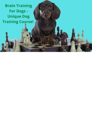 Ebook: Mind Games for Dogs - Dogwise Solutions - Dogwise