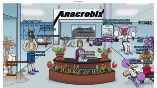 Sketchy Notes.pdf Pharmacology Notes with sketchy explanation | PDF