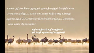 ஞான தானம் 