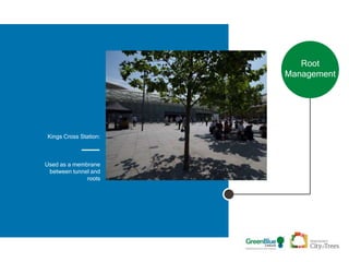 Root
Management
Kings Cross Station:
Used as a membrane
between tunnel and
roots
 