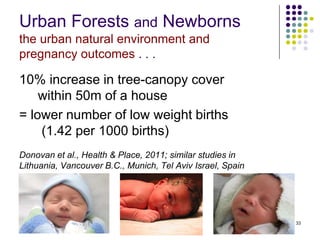 33
Urban Forests and Newborns
the urban natural environment and
pregnancy outcomes . . .
10% increase in tree-canopy cover
within 50m of a house
= lower number of low weight births
(1.42 per 1000 births)
Donovan et al., Health & Place, 2011; similar studies in
Lithuania, Vancouver B.C., Munich, Tel Aviv Israel, Spain
 
