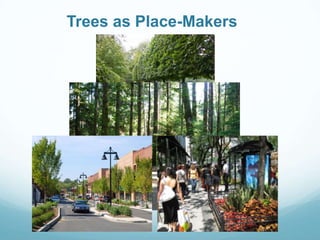 Trees as Place-Makers
 