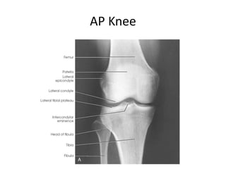 All projections Anatomy | PPTX