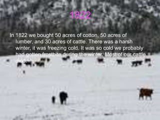 1822
In 1822 we bought 50 acres of cotton, 50 acres of
   lumber, and 30 acres of cattle. There was a harsh
   winter, it was freezing cold. It was so cold we probably
   had gotten frostbite during the winter. Most of our cattle
   died.
 