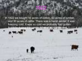 1822
In 1822 we bought 50 acres of cotton, 50 acres of lumber,
   and 30 acres of cattle. There was a harsh winter, it was
   freezing cold. It was so cold we probably had gotten
   frostbite during the winter. Most of our cattle died.
 