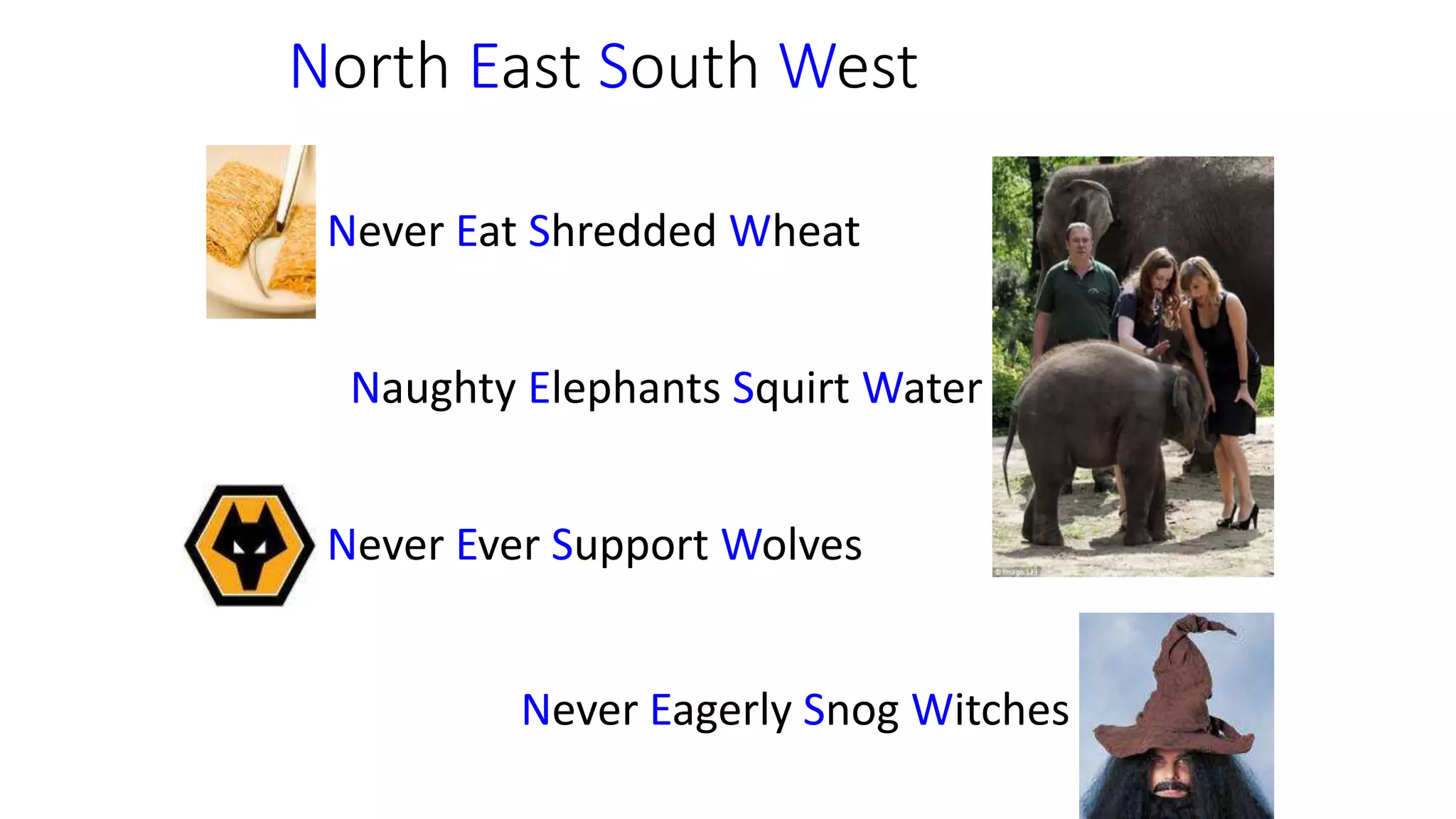 North East South West
Never Ever Support Wolves
Never Eagerly Snog Witches
Never Eat Shredded Wheat
Naughty Elephants Squirt Water
 