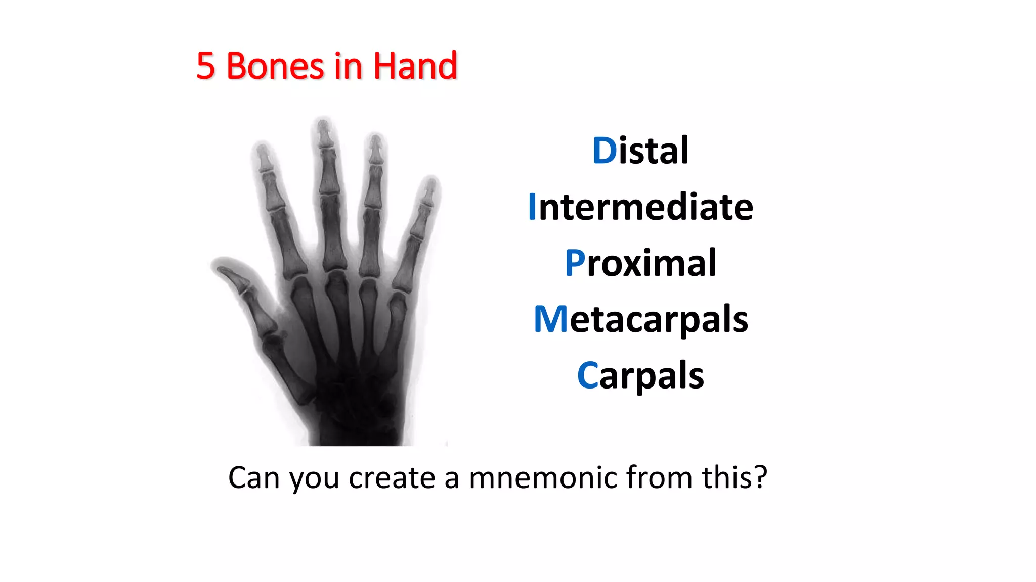 5 Bones in Hand
Distal
Intermediate
Proximal
Metacarpals
Carpals
Can you create a mnemonic from this?
 