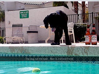 The dog, not the beer. Beer is 2nd best friend.
 