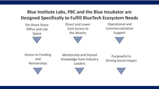 Access to Funding
and
Partnerships
On-Shore Share
Office and Lab
Space
Direct and Lower
Cost Access to
the Atlantic
Purposeful in
Driving Social Impact
Mentorship and Shared
Knowledge from Industry
Leaders
Operational and
Commercialization
Support
Blue Institute Labs, PBC and the Blue Incubator are
Designed Specifically to Fulfill BlueTech Ecosystem Needs
 