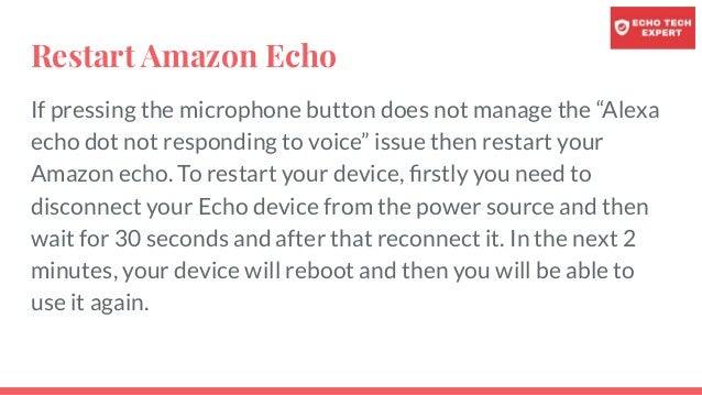 amazon echo dot not responding