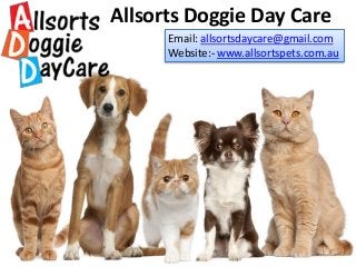 Allsorts Doggie Day Care
Email: allsortsdaycare@gmail.com
Website:- www.allsortspets.com.au
 