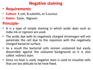 Negative staining
• Requirements
• Culture- E.coli, B.substilis, or S.aureus
• Stains- Eosin, Nigrosin
Principle-
• It is a type of simple staining in which acidic dyes such as
India ink or nigrosin are used.
• The acidic dye with its negatively charged chromogen will not
penetrate the cell due to the repulsion with the negatively
charged bacterial surface.
• As a result the bacterial cells remain unstained but easily
discernible against the coloured background so it is also
called indirect stain.
• Since no heat is used, negative stain is used to visualize cells
that are too delicate to be heat-fixed.
 