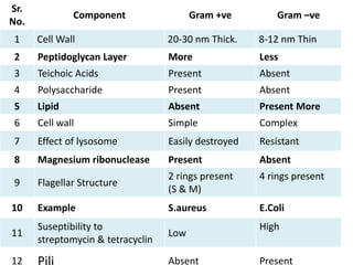 Sr.
No.
Component Gram +ve Gram –ve
1 Cell Wall 20-30 nm Thick. 8-12 nm Thin
2 Peptidoglycan Layer More Less
3 Teichoic Acids Present Absent
4 Polysaccharide Present Absent
5 Lipid Absent Present More
6 Cell wall Simple Complex
7 Effect of lysosome Easily destroyed Resistant
8 Magnesium ribonuclease Present Absent
9 Flagellar Structure
2 rings present
(S & M)
4 rings present
10 Example S.aureus E.Coli
11
Suseptibility to
streptomycin & tetracyclin
Low
High
12 Absent Present
 