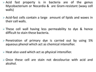  Acid fast property is in bacteria are of the genus
Mycobacterium or Nocardia & are Gram-resistant (waxy cell
walls)
 Acid-fast cells contain a large amount of lipids and waxes in
their cell walls.
 These cell wall having less permeability to dye & hence
difficult to stain these bacteria.
 Penetration of primary dye is carried out by using 5%
aqueous phenol which act as chemical intensifier.
 Heat also used which act as physical intensifier.
 Once these cell are stain not decolourise with acid and
alcohol.
 