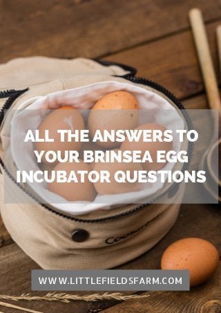ALL THE ANSWERS TO
YOUR BRINSEA EGG
INCUBATOR QUESTIONS
WWW.LITTLEFIELDSFARM.COM
 