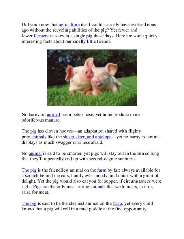 What Is The Cleanest Animal : The Industry Fact Checking Vegucated