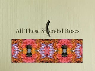 All These Splendid Roses ( 