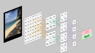 Convolutional Network Architecture
 