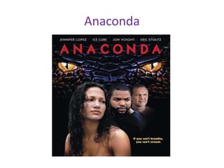 Anaconda
 
