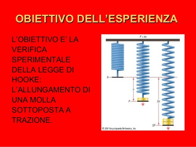Come Si Calcola L'allungamento Di Una Molla