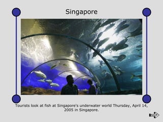 Tourists look at fish at Singapore's underwater world Thursday, April 14, 2005 in Singapore. Singapore 