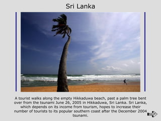 A tourist walks along the empty Hikkaduwa beach, past a palm tree bent over from the tsunami June 26, 2005 in Hikkaduwa, Sri Lanka. Sri Lanka, which depends on its income from tourism, hopes to increase their number of tourists to its popular southern coast after the December 2004 tsunami. Sri Lanka 