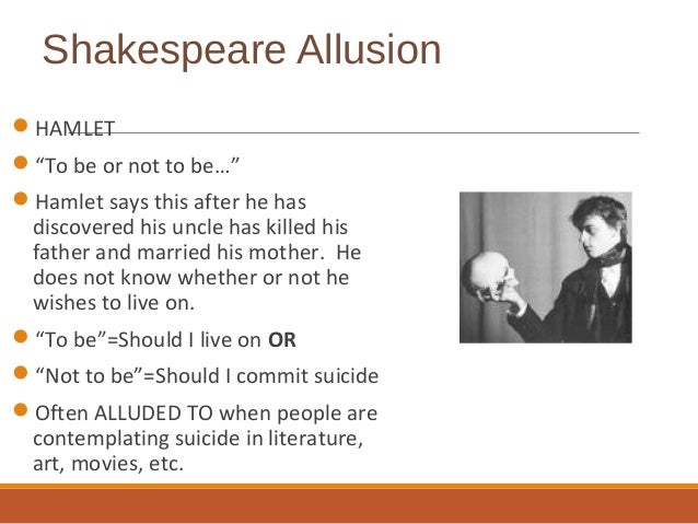 Hamlet Allusion Essay Sample