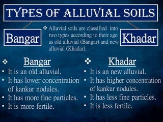 Bangar Khadar
 Bangar
• It is an old alluvial.
• It has lower concentration
of kankur nodules.
• It has more fine particles.
• It is more fertile.
 Alluvial soils are classified into
two types according to their age
as old alluvial (Bangar) and new
alluvial (Khadar).
 Khadar
• It is an new alluvial.
• It has higher concentration
of kankur nodules.
• It has less fine particles.
• It is less fertile.
 