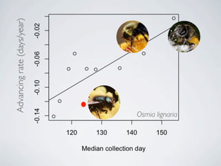 Colletes inaequalisApril
Advancingrate(days/year)
 